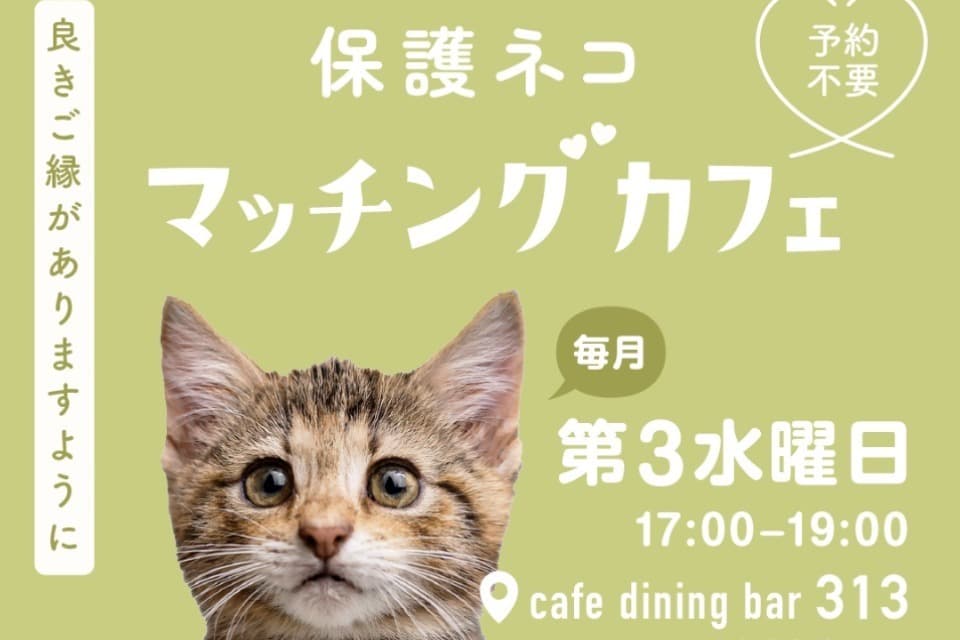これまでの事業成果の画像