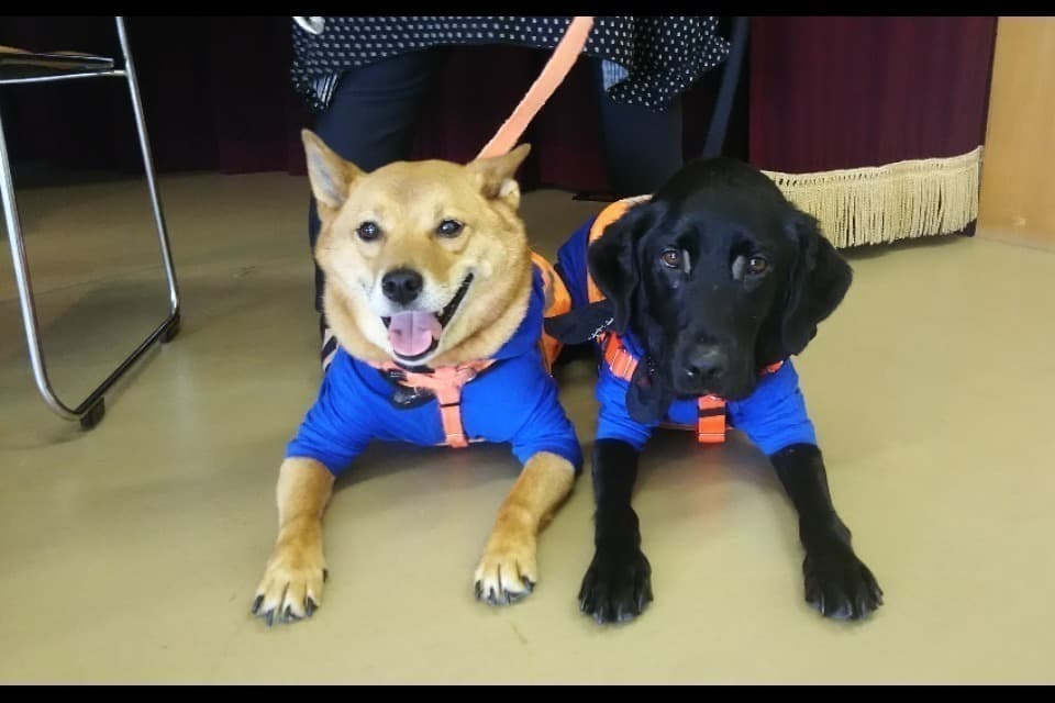 これまでの事業成果の画像