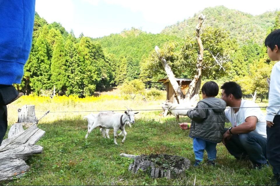 これまでの事業成果の画像