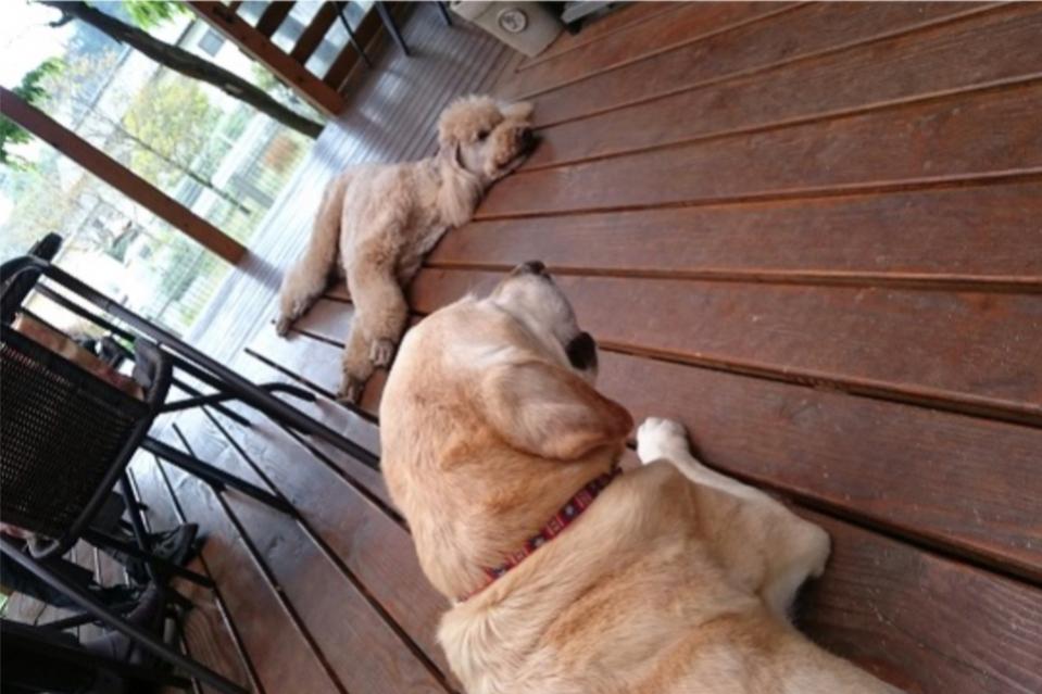 これまでの事業成果の画像