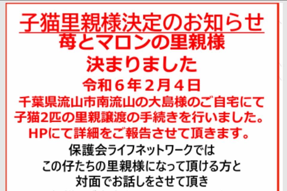 これまでの事業成果の画像