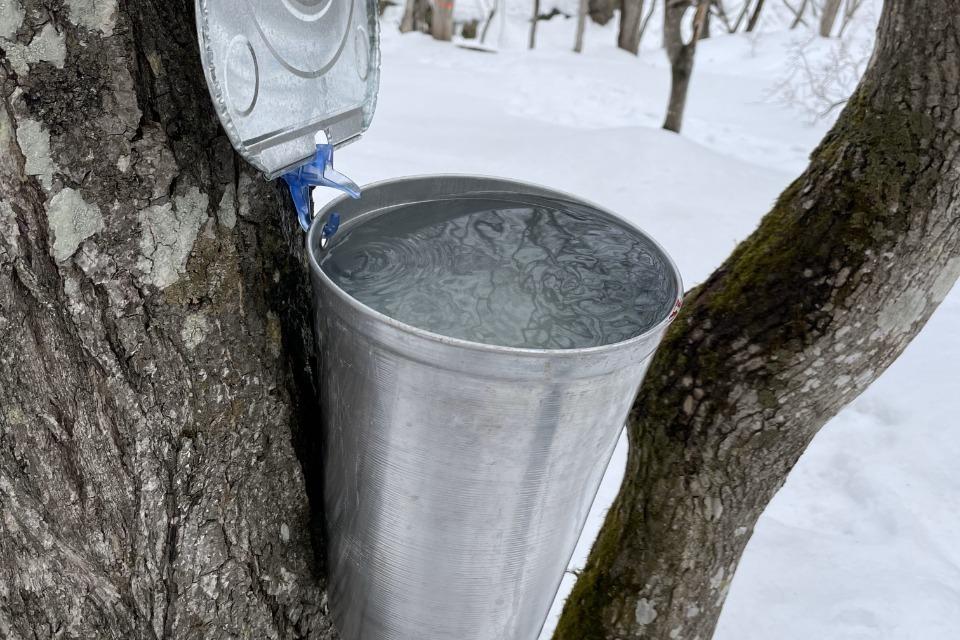 これまでの事業成果の画像