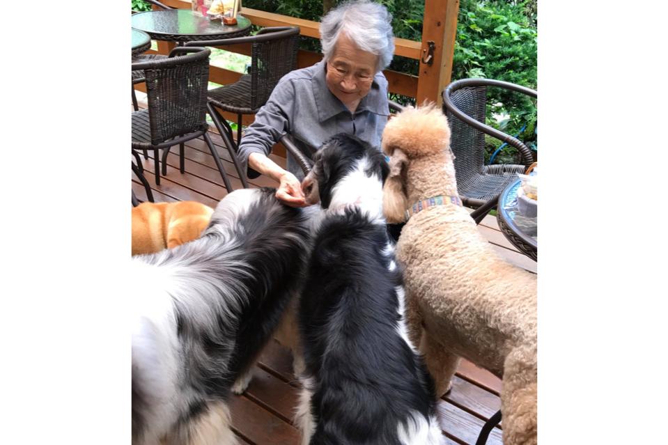 これまでの事業成果の画像