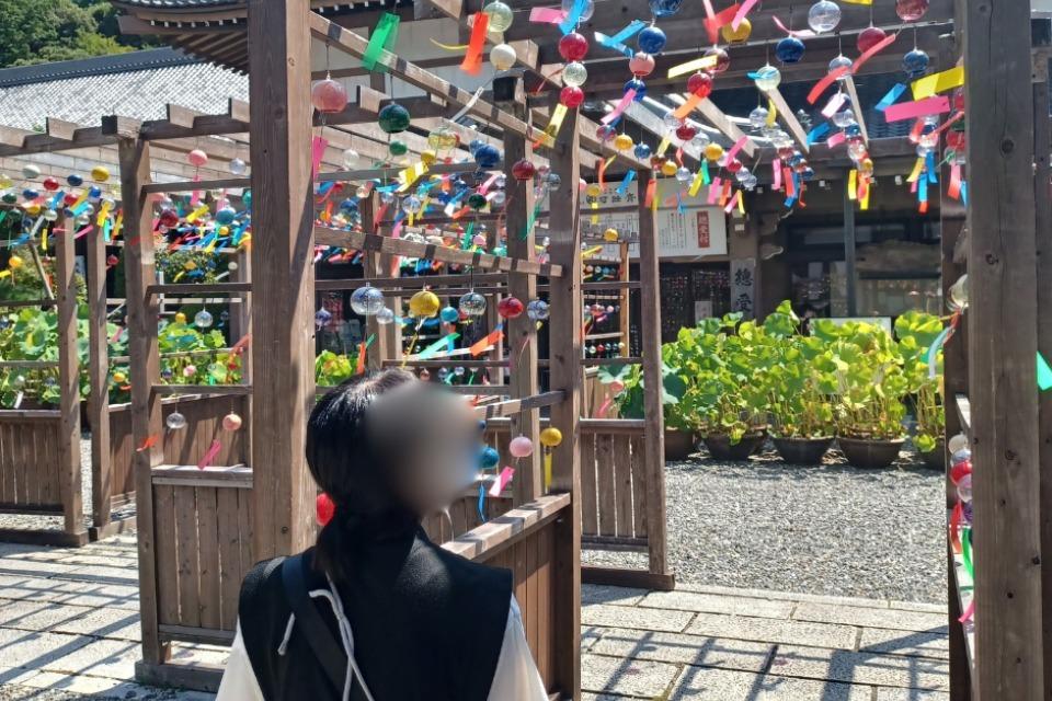 これまでの事業成果の画像