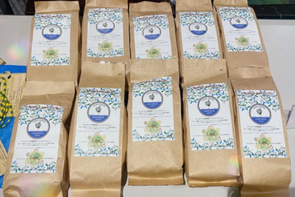 これまでの事業成果の画像