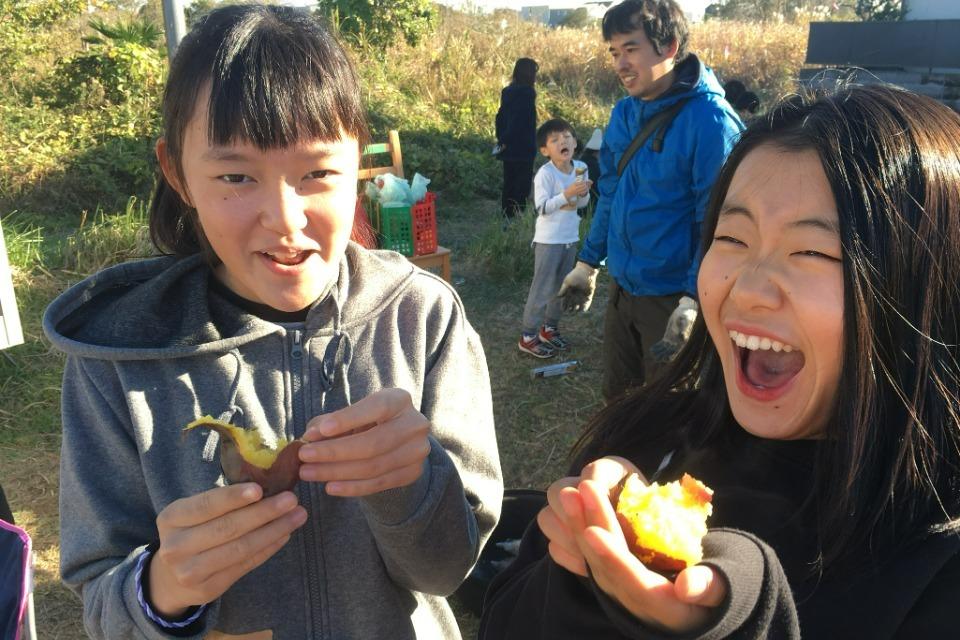 これまでの事業成果の画像