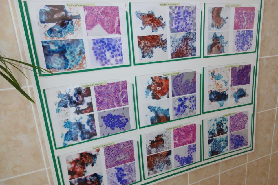 これまでの事業成果の画像