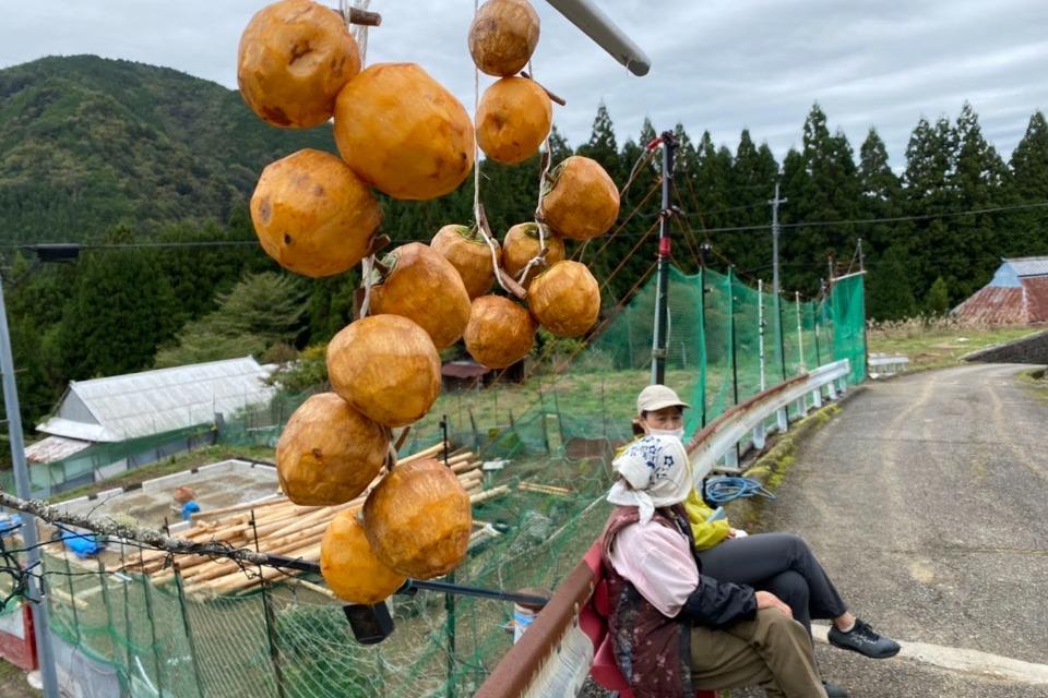 これまでの事業成果の画像