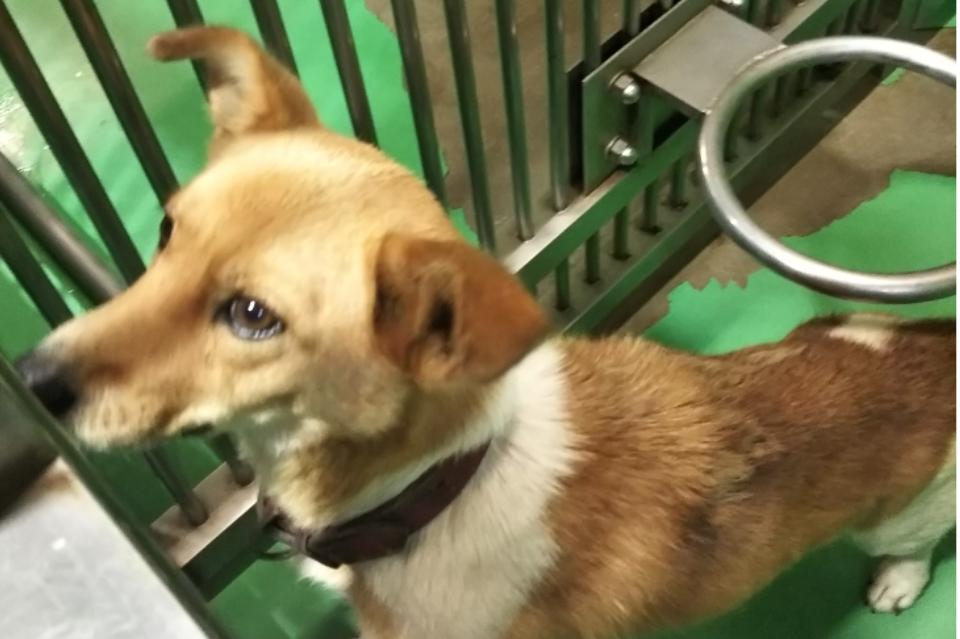 これまでの事業成果の画像