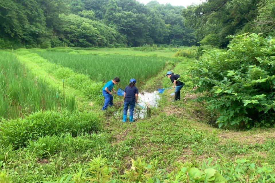 これまでの事業成果の画像