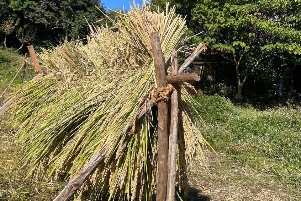 これまでの事業成果の画像