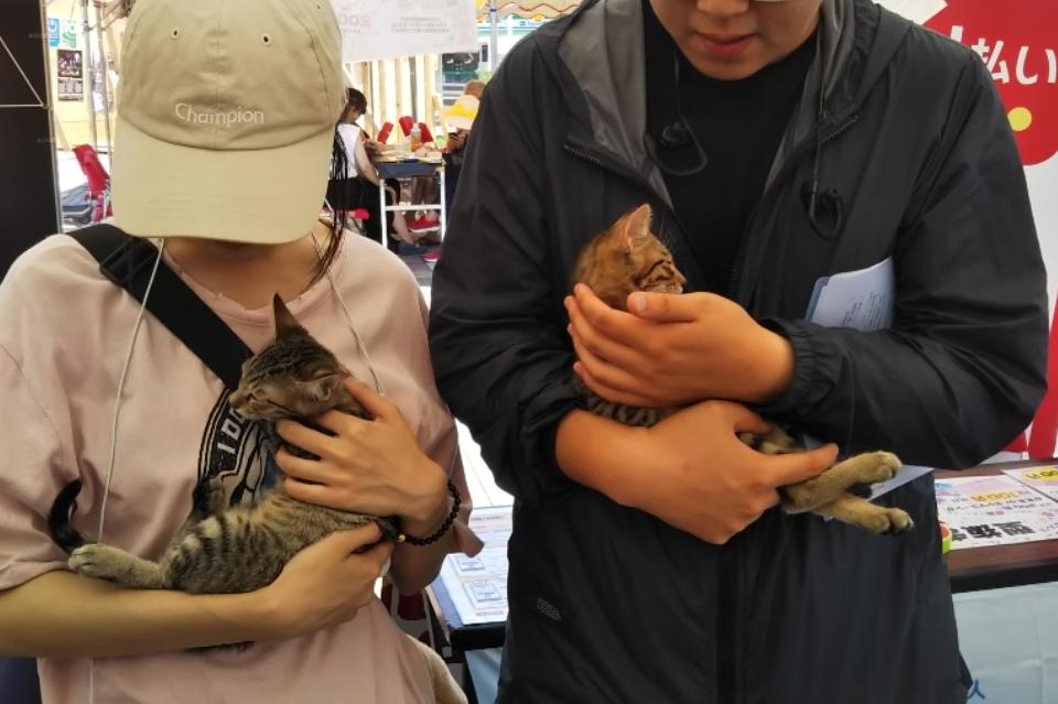 これまでの事業成果の画像