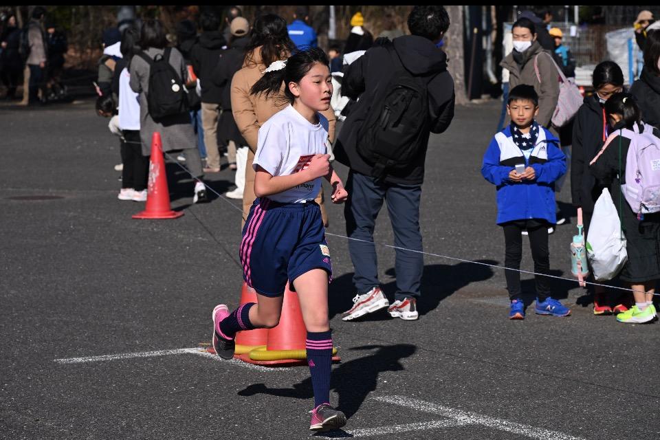 これまでの事業成果の画像