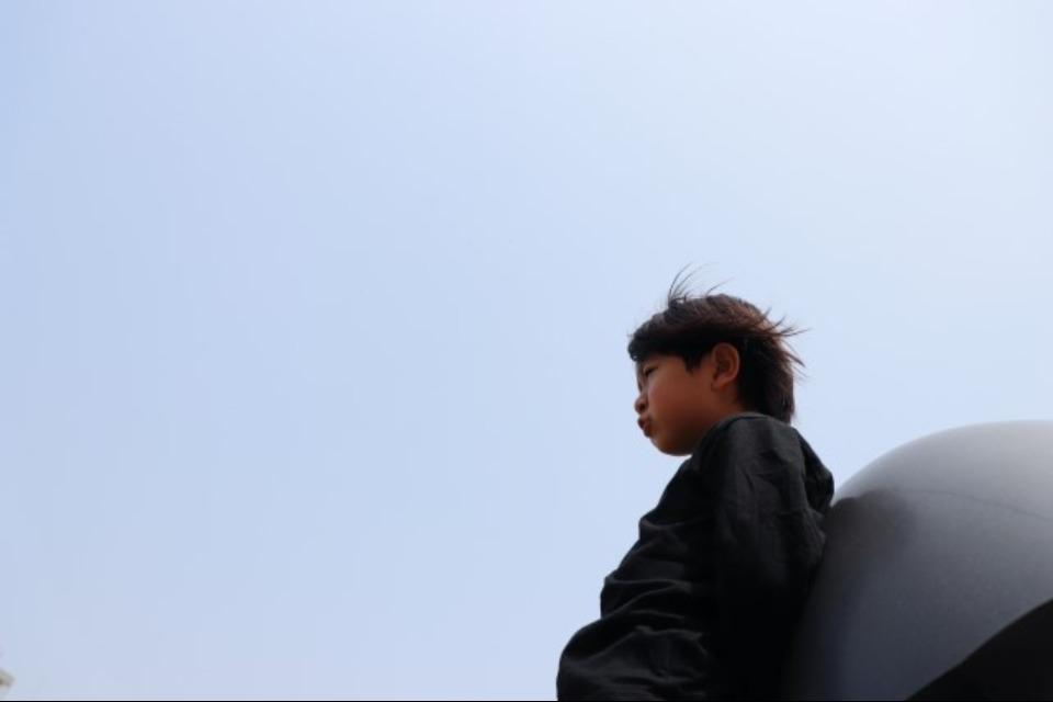 これまでの事業成果の画像