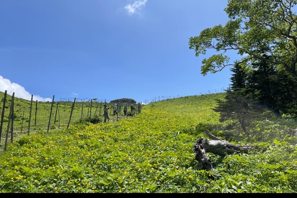 これまでの事業成果の画像