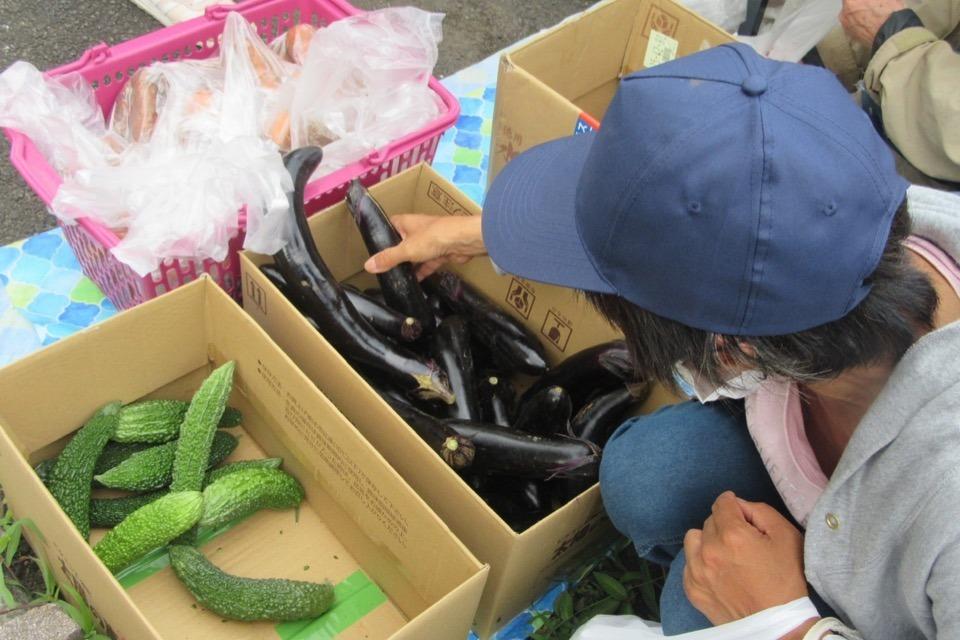 これまでの事業成果の画像