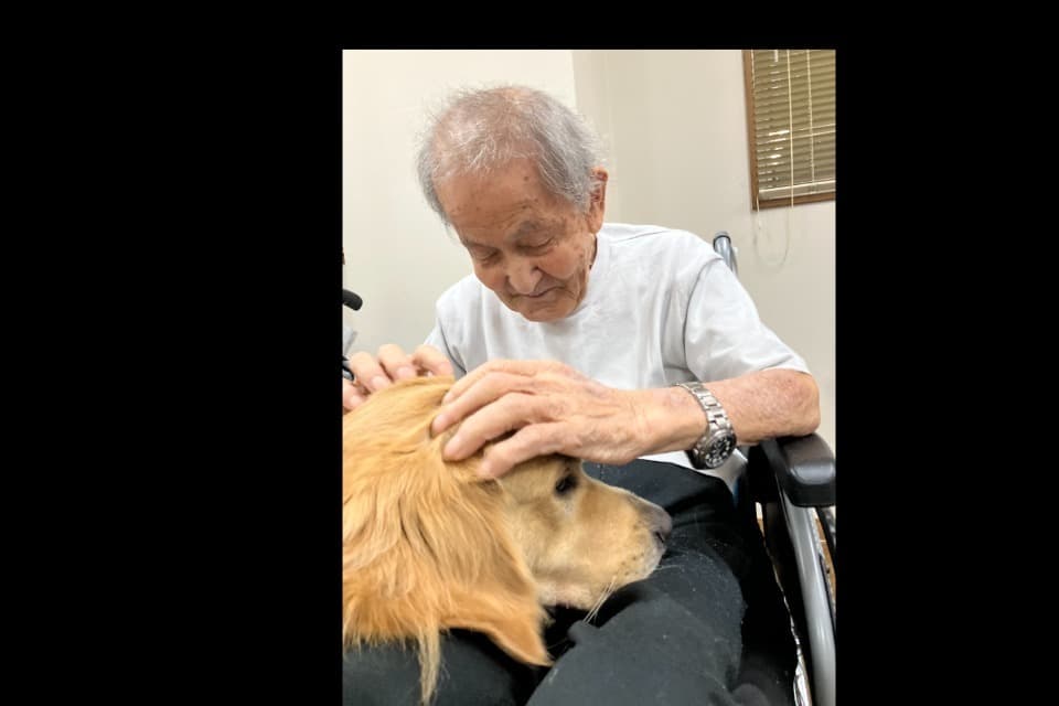 これまでの事業成果の画像