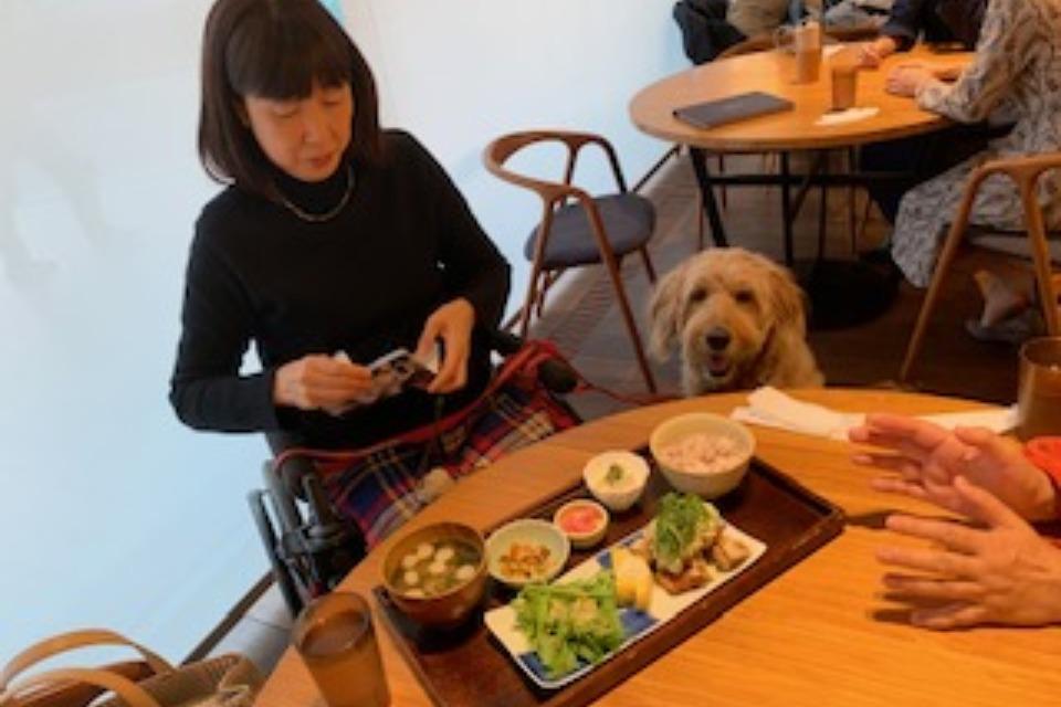 これまでの事業成果の画像