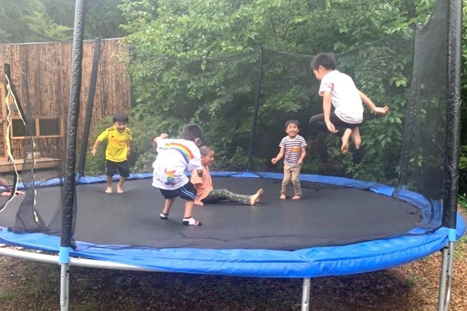 これまでの事業成果の画像