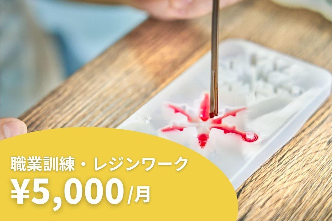 【⭐️職業訓練レジン制作の材料費1名分⭐️】5000円マンスリーサポーターの画像