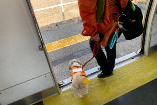 目薬1ヵ月分。日に2回点眼する3種類の目薬代の画像