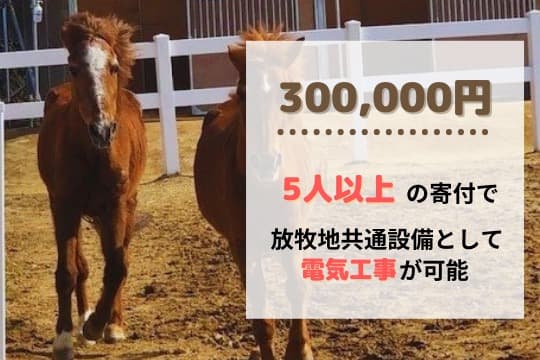 御礼・特典の画像