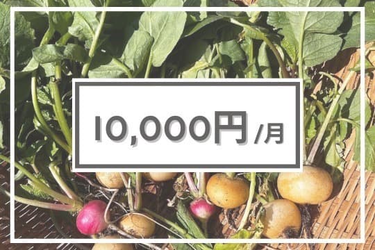 【寄付金の使途】の画像