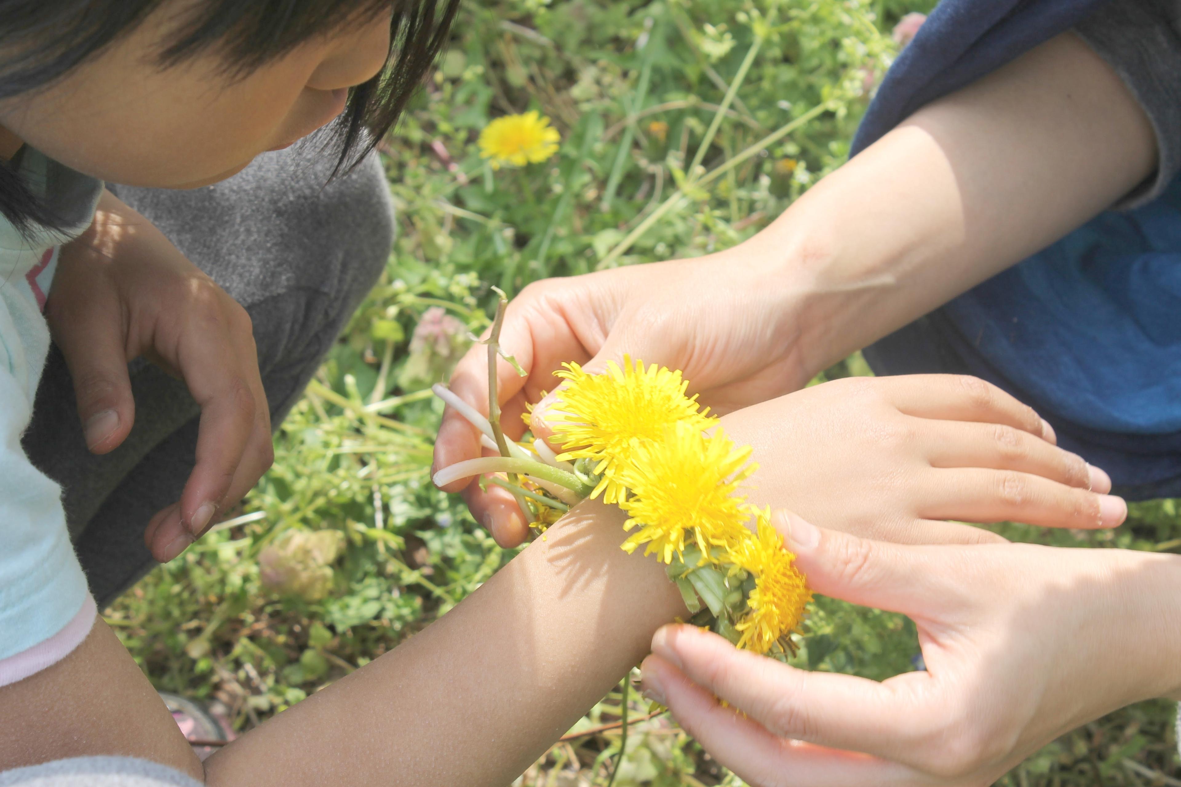 団体への寄付【返礼品不要】の画像