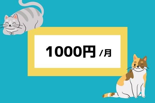 【御礼・特典】の画像