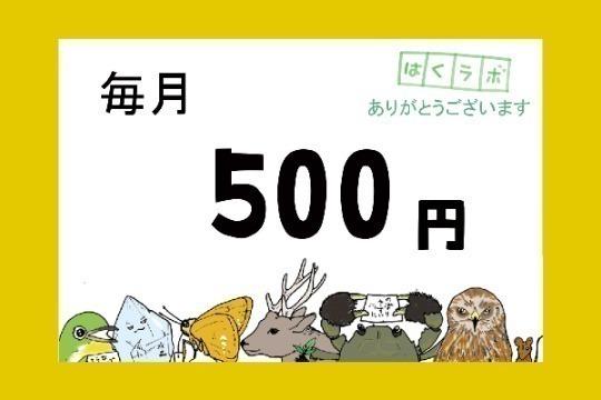【コツコツ応援】サポーター Image