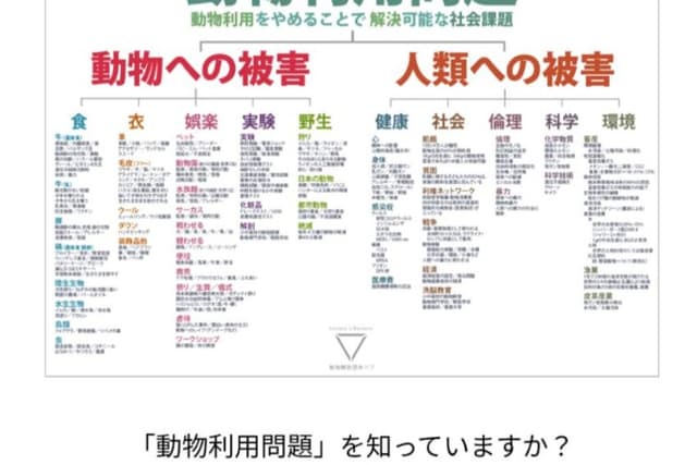 支援している団体の活動費にの画像