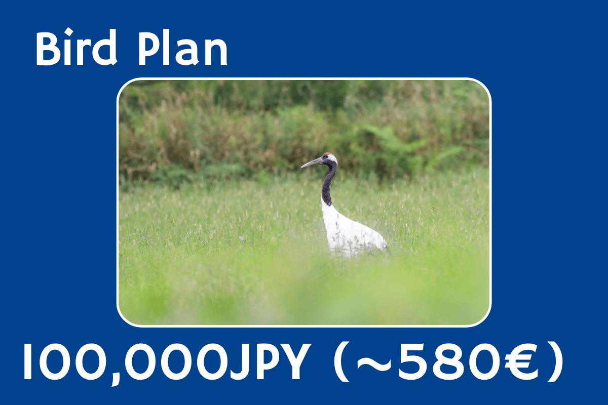 Bird Planの画像