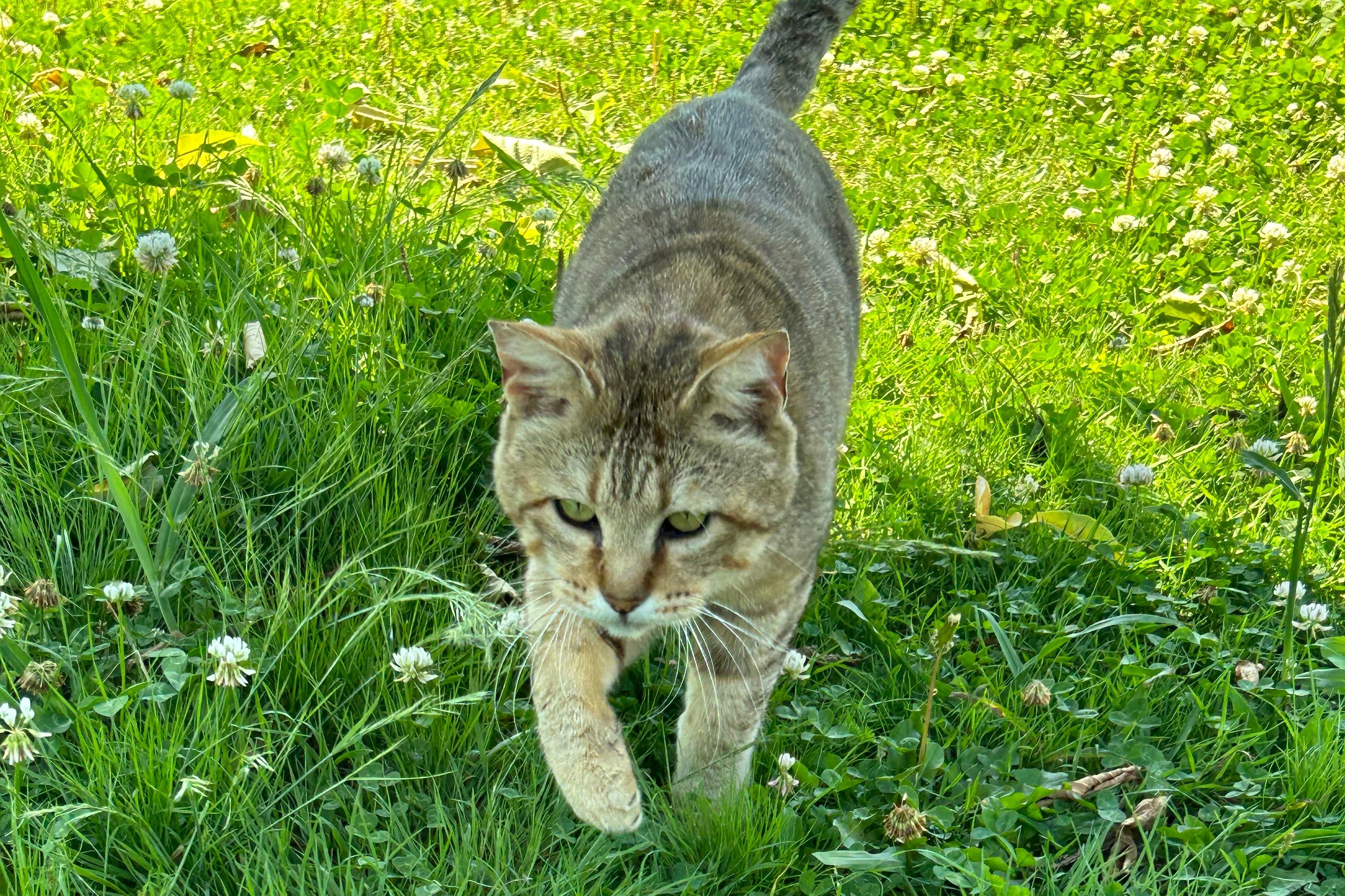 ใใชใผๅป็่ฒปใฎ็ปๅ