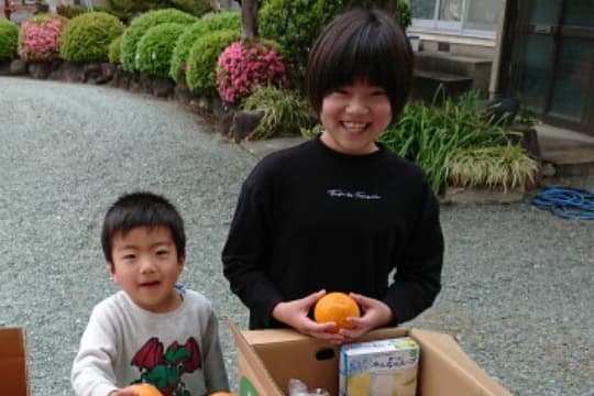 の画像