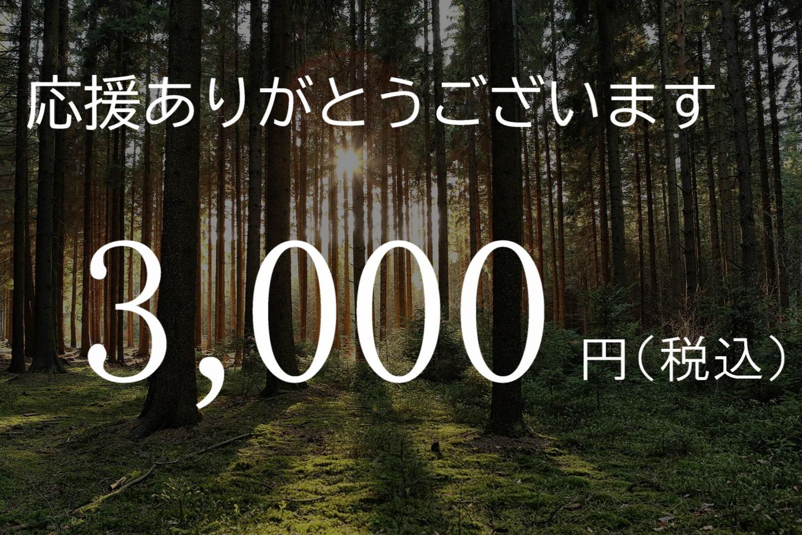 2024年9月 豪雨被害 緊急支援の画像