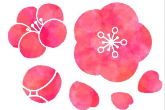 活動資金になります。ありがとうございます!の画像