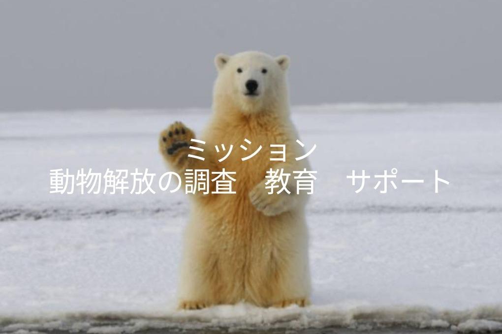 支援している団体の活動費にの画像