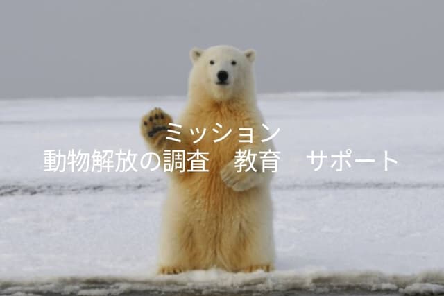 支援している団体の活動費にの画像