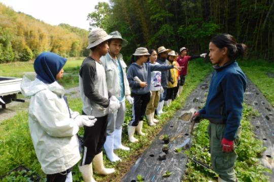 地域の発展を担う人材を育てるの画像