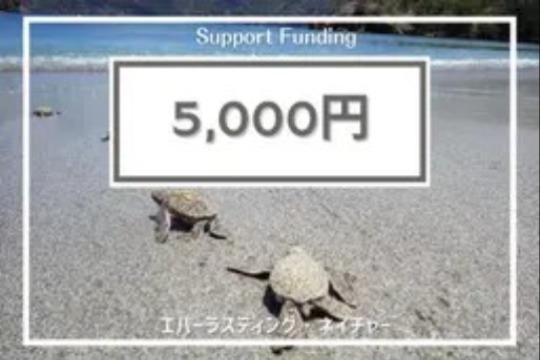 ご寄付でできることの画像