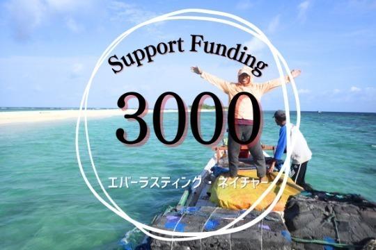 ご寄付でできることの画像