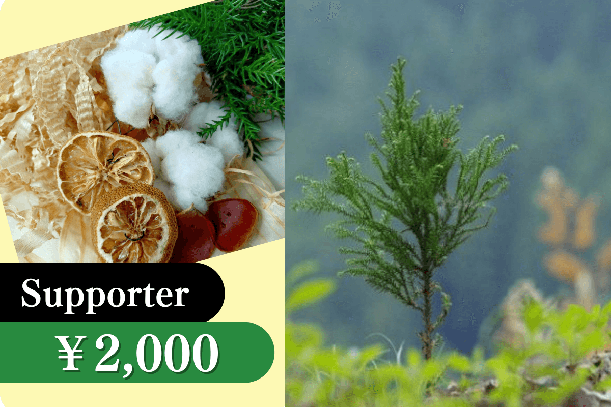 苗木の寄付の画像