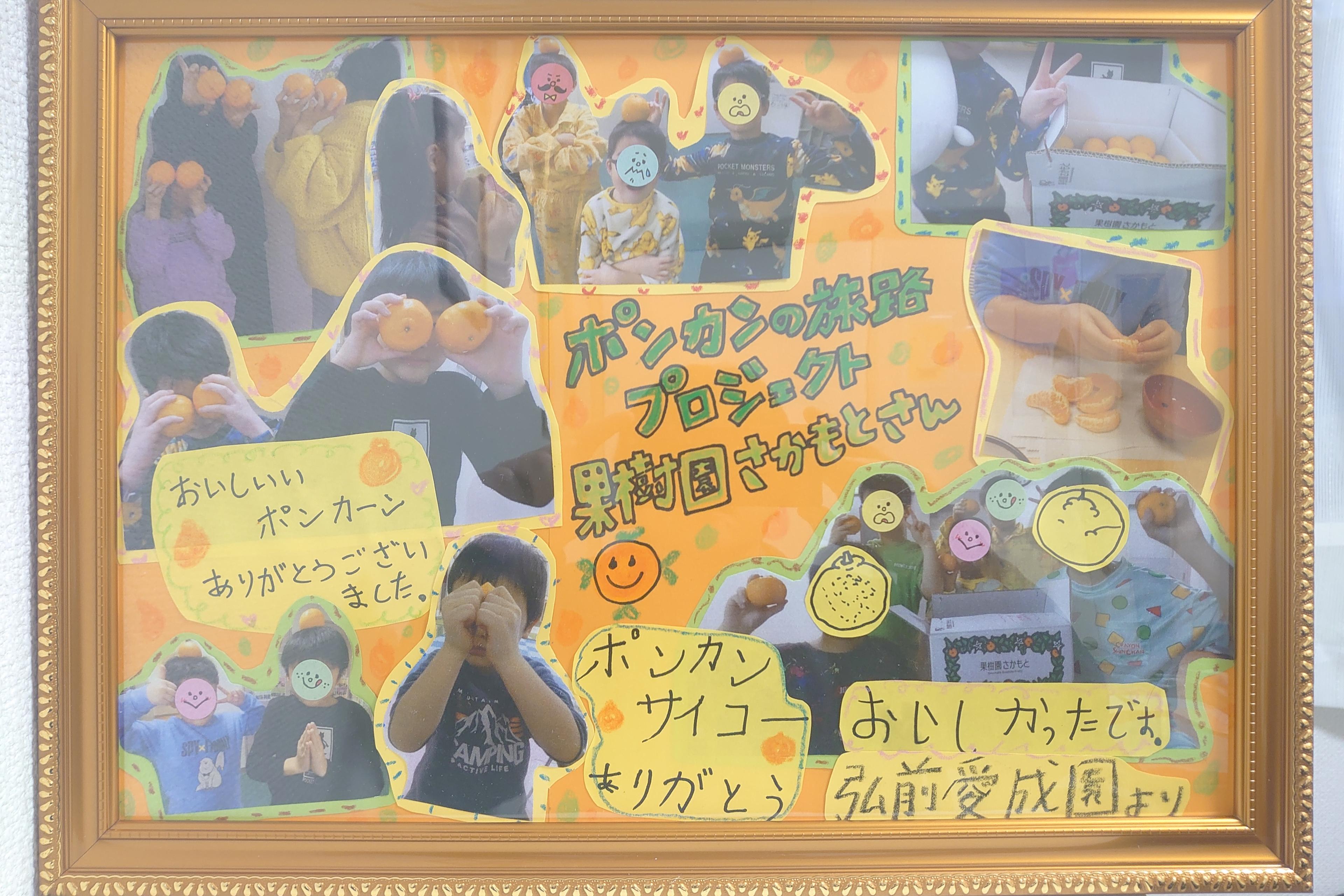児童養護施設へポンカン10kg(70個〜)を1箱を寄付+寄付者様にもポンカン Image