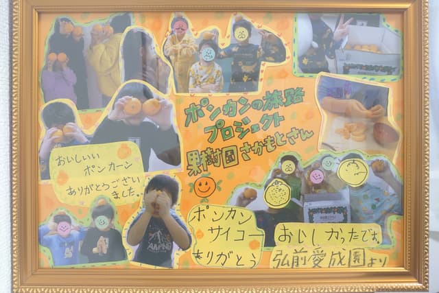 児童養護施設へポンカン10kg(70個〜)を1箱を寄付+寄付者様にもポンカンの画像