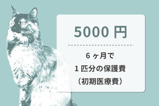 【御礼・特典】 Image