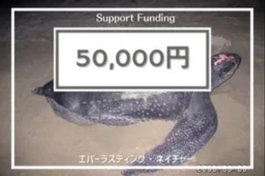 ご寄付でできることの画像