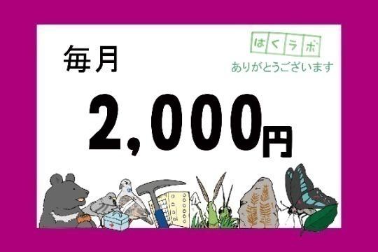 【チャレンジ応援】サポーターの画像