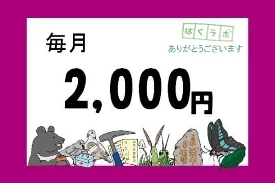 【チャレンジ応援】サポーター Image