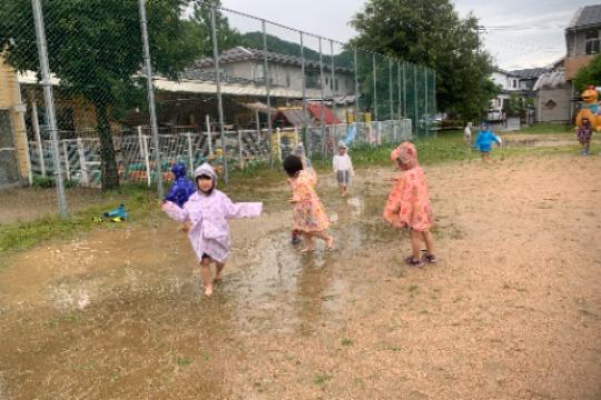 鳥取方式のポット苗方式芝生化Aプラン Image