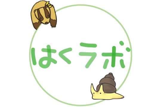 東北からお楽しみ封筒送ります!の画像